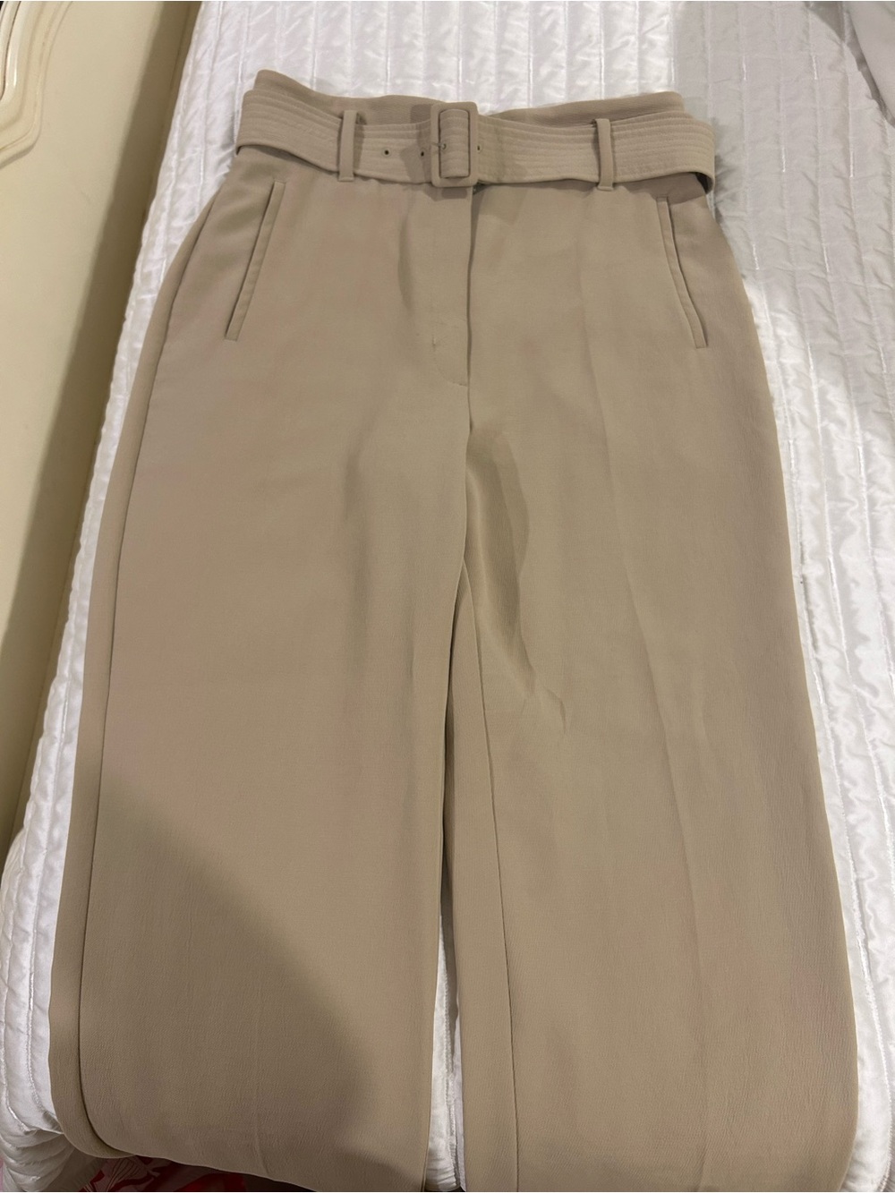 Aritzia Beige High-Rise Belted Wide-Leg Trousers
